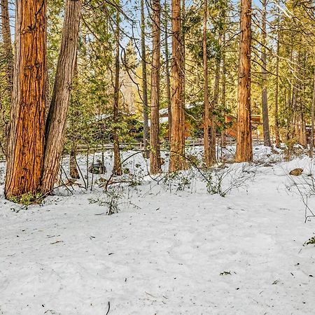 Creekside Cabin Hotel Idyllwild Exterior photo