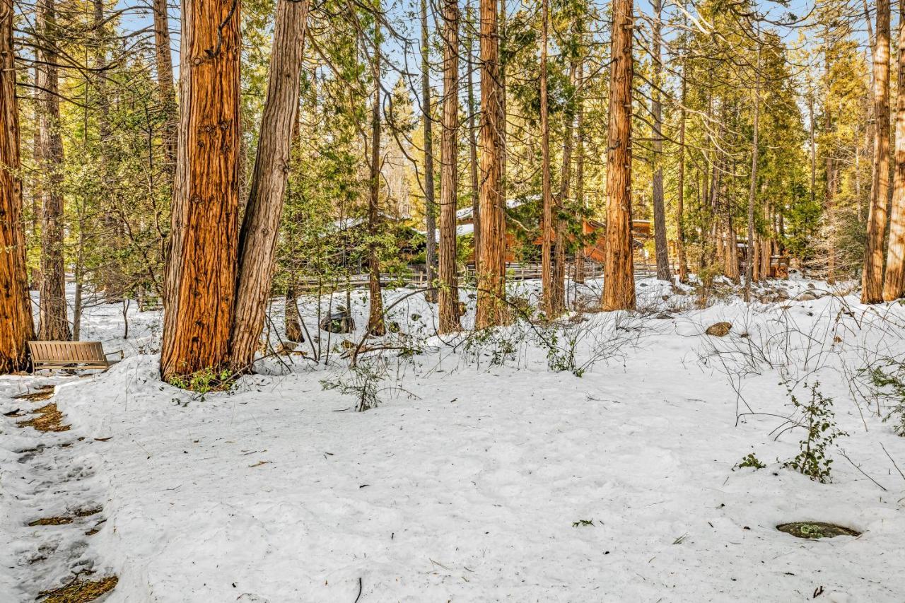 Creekside Cabin Hotel Idyllwild Exterior photo