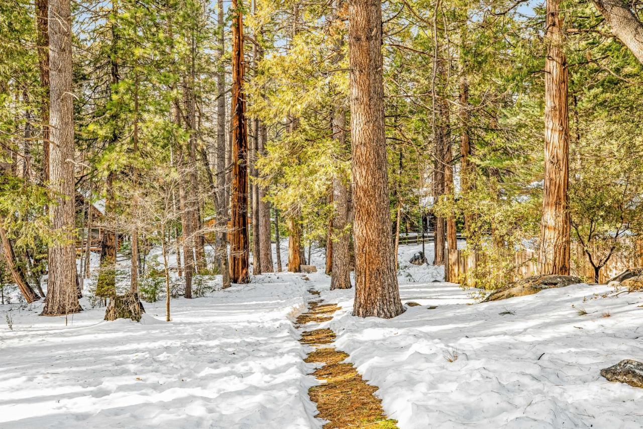 Creekside Cabin Hotel Idyllwild Exterior photo